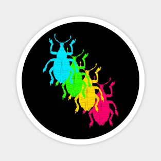 Weevil beetle (Curculionoidea) rainbow Magnet